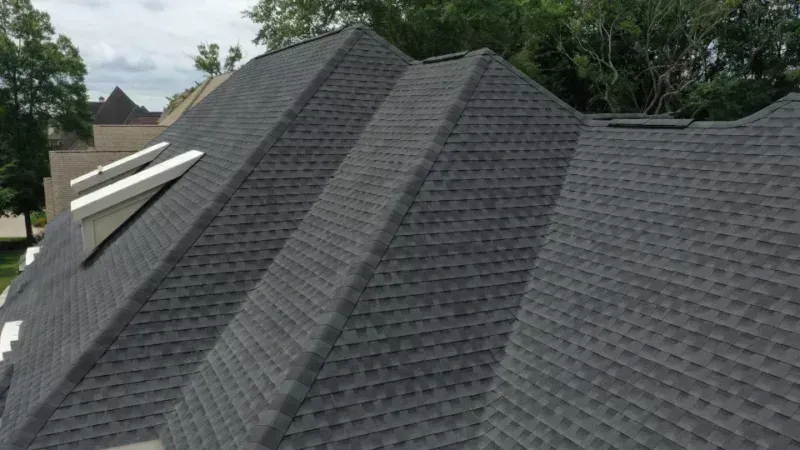 Dark gray shingled roof with a skylight, viewed from above, with trees in the background