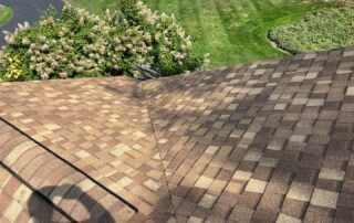 Roof shingles with a diagonal shadow, bordered by green grass and flowering shrubs.