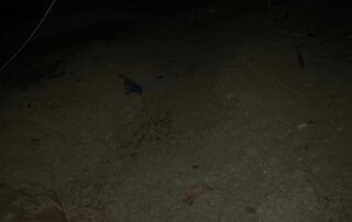 Dark, grainy ground with a small blue object near the center and faint red marks nearby