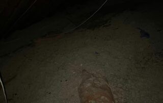 Dimly lit dirt path with a rock in the foreground at night