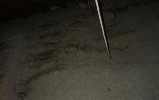 Dim outdoor ground at night with a thin vertical metal pole on the right.