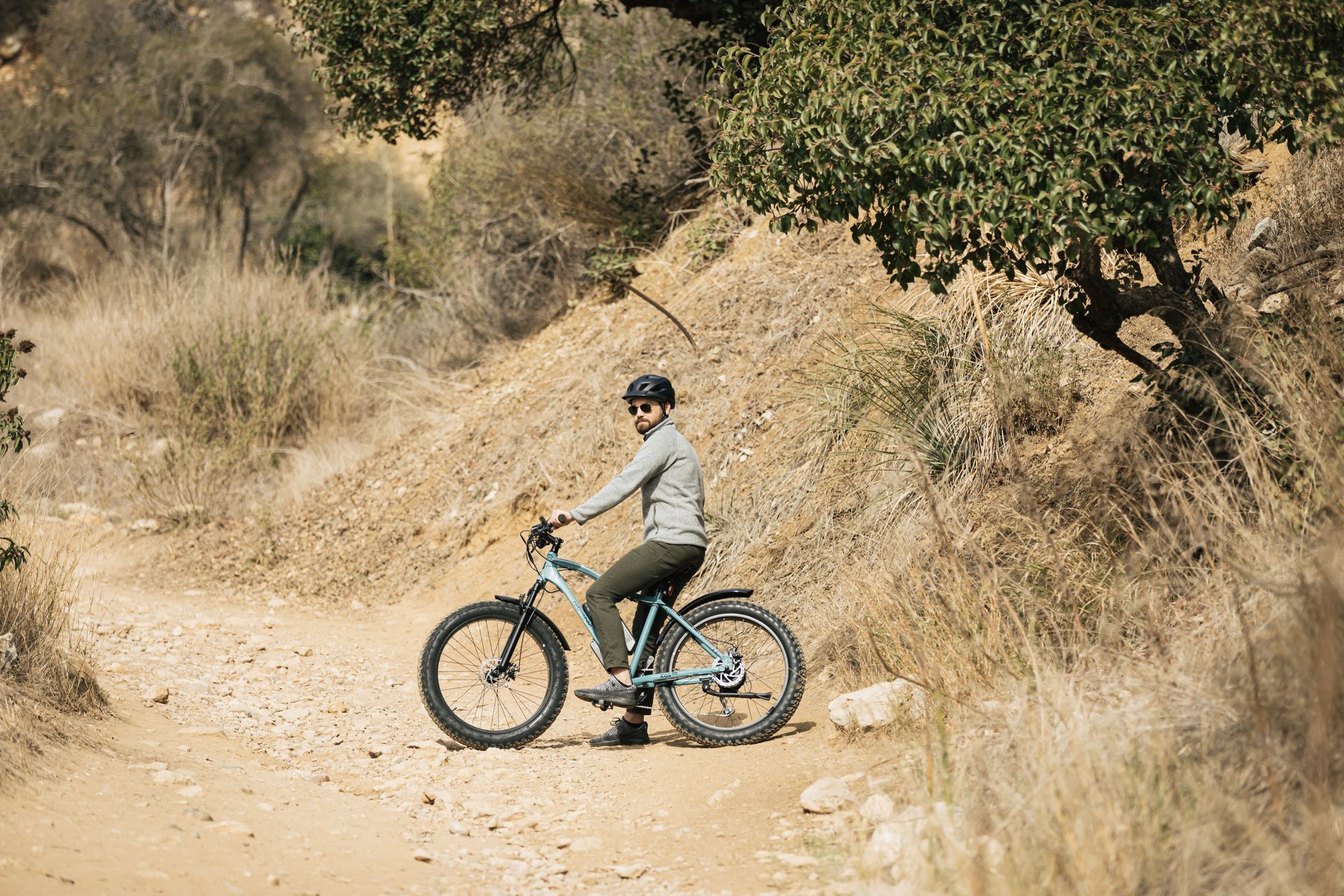 Electric Bike