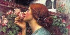 Quadro Mia dolce Rosa di John William Waterhouse
