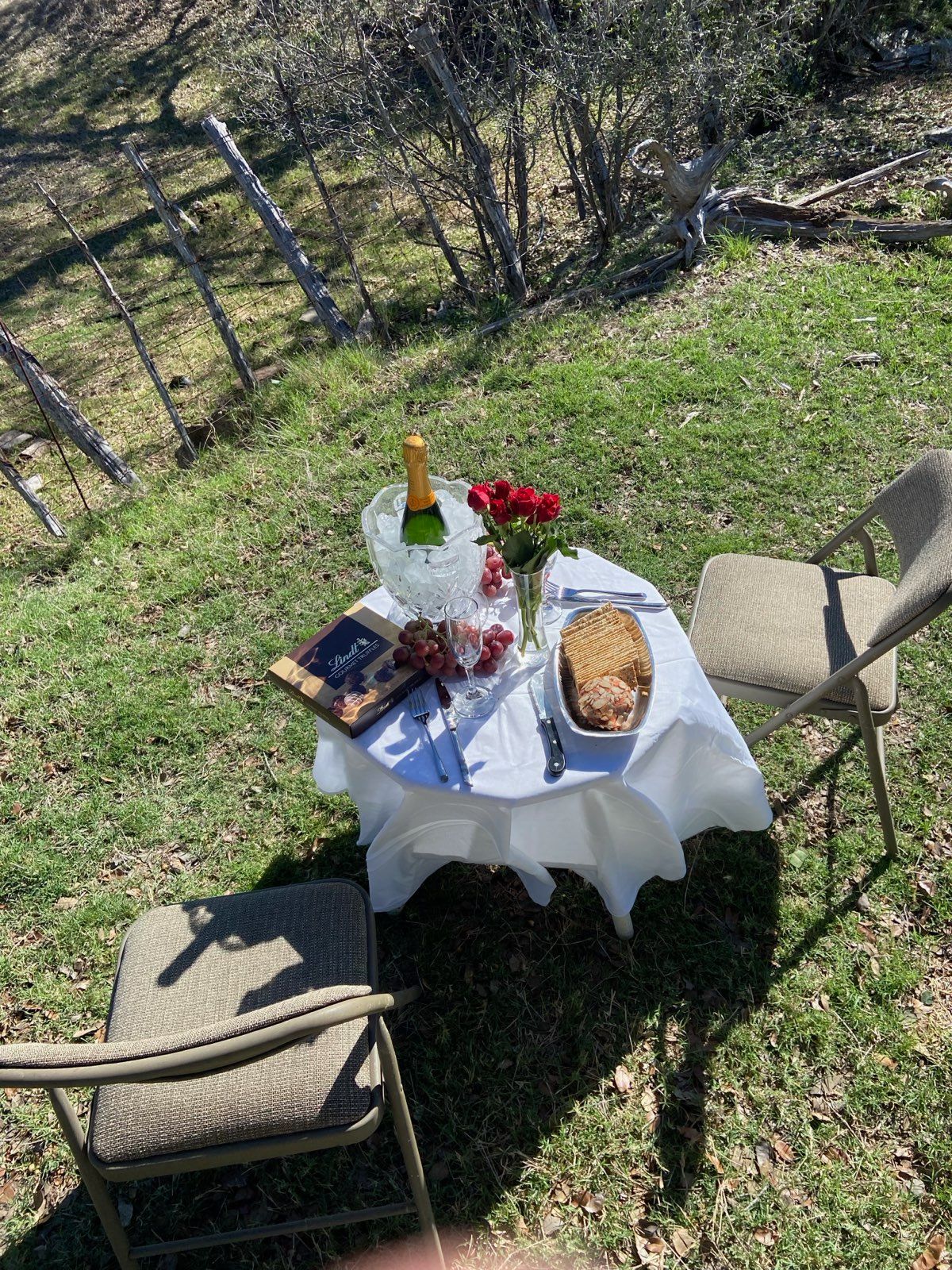 An outdoor picnic scene with a table set for two, featuring champagne, flowers, and bread. Two folding chairs are nearby.