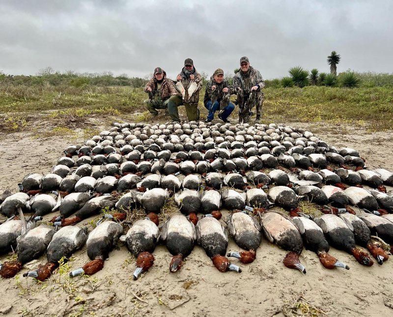 Hunters kneel behind a large pile of dead ducks in a grassy field under an overcast sky