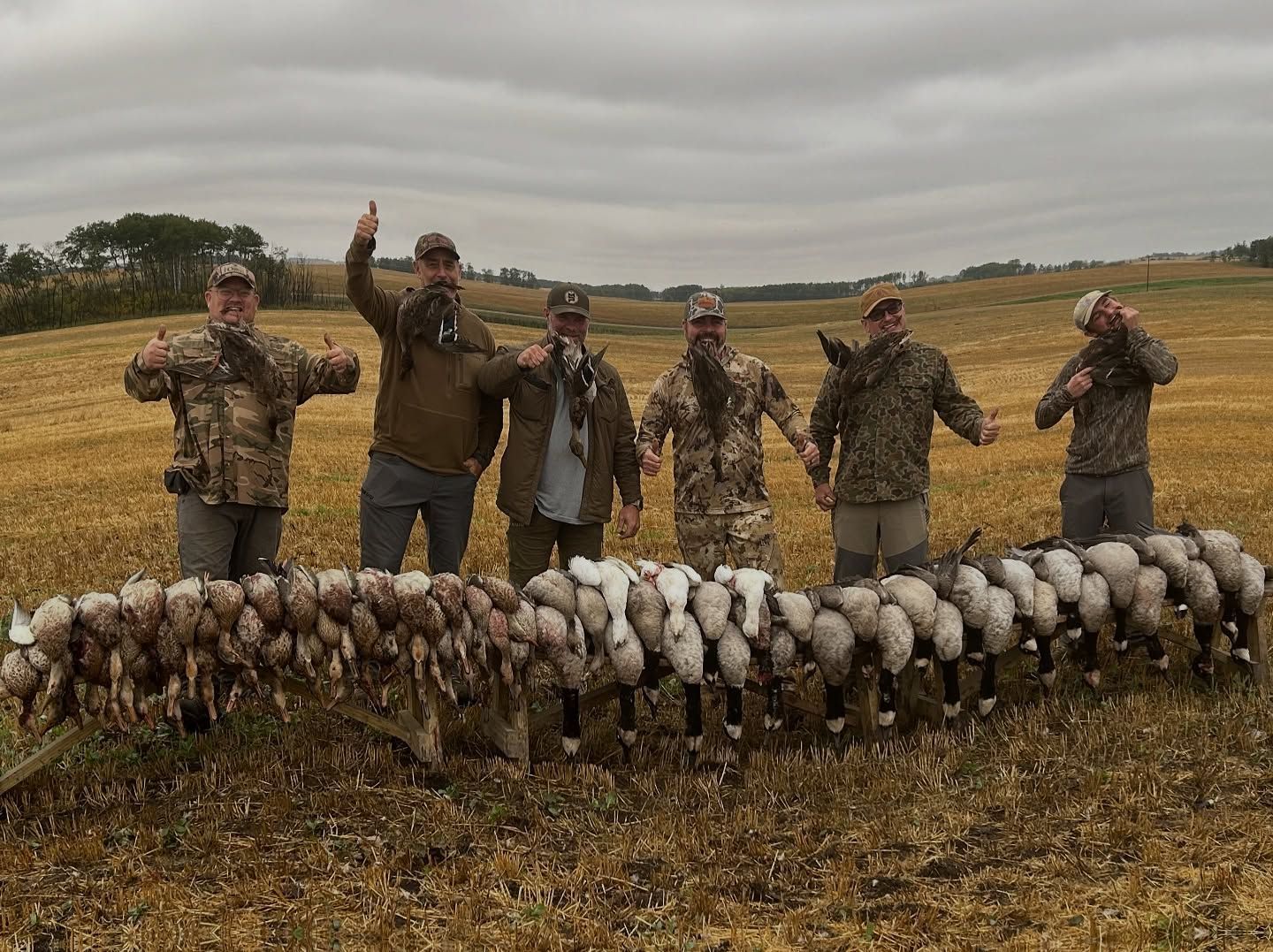 Hunters posing behind a large row of harvested geese in a field, one raising a hand in celebration