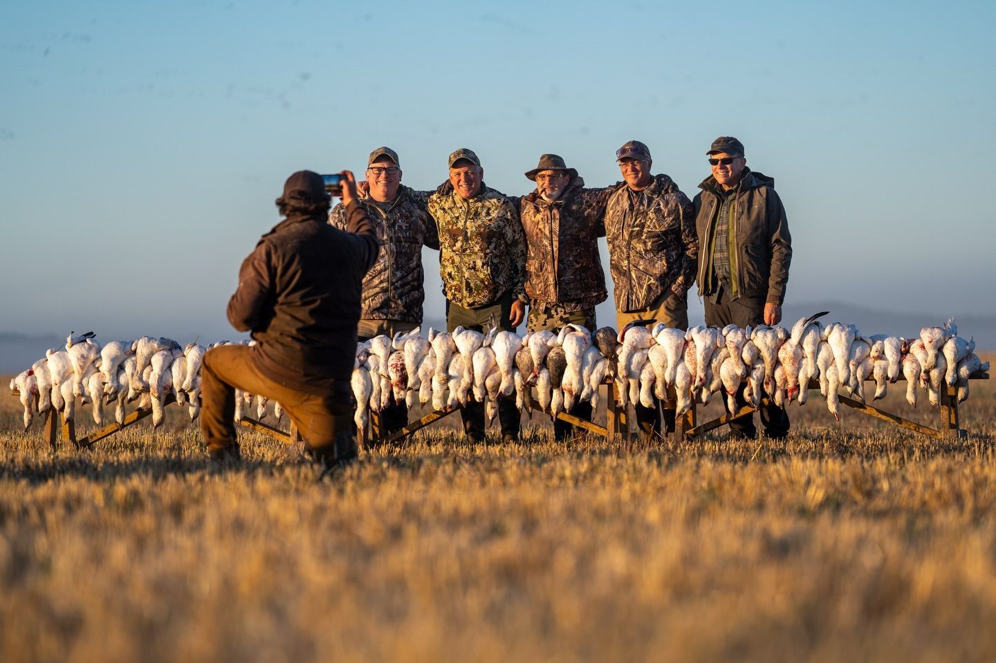 Hunters posing with a large flock of white geese in a grassy field at sunset