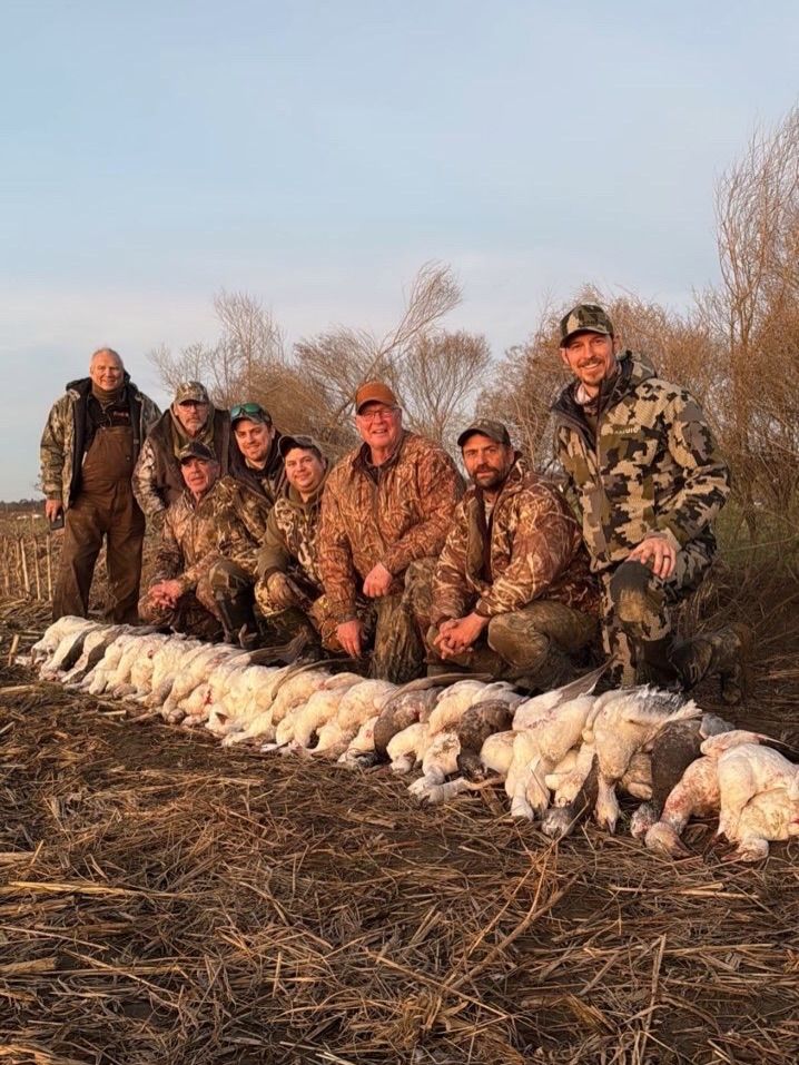 Hunters posing outdoors with a row of harvested geese in front of them at sunset