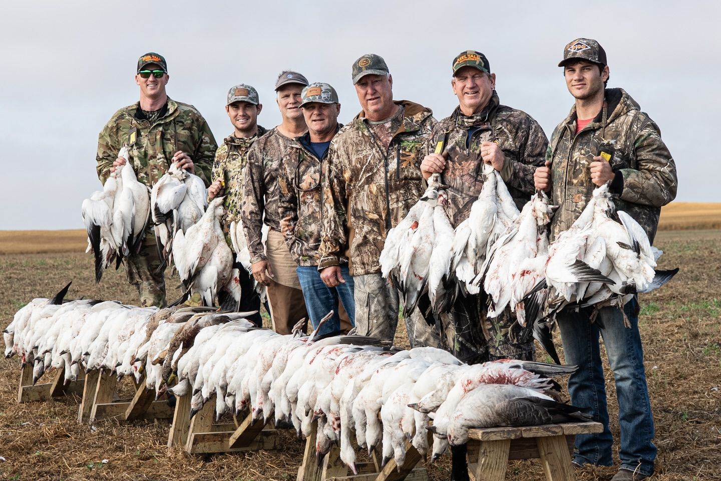 Hunters posing with a long row of dead snow geese in a field