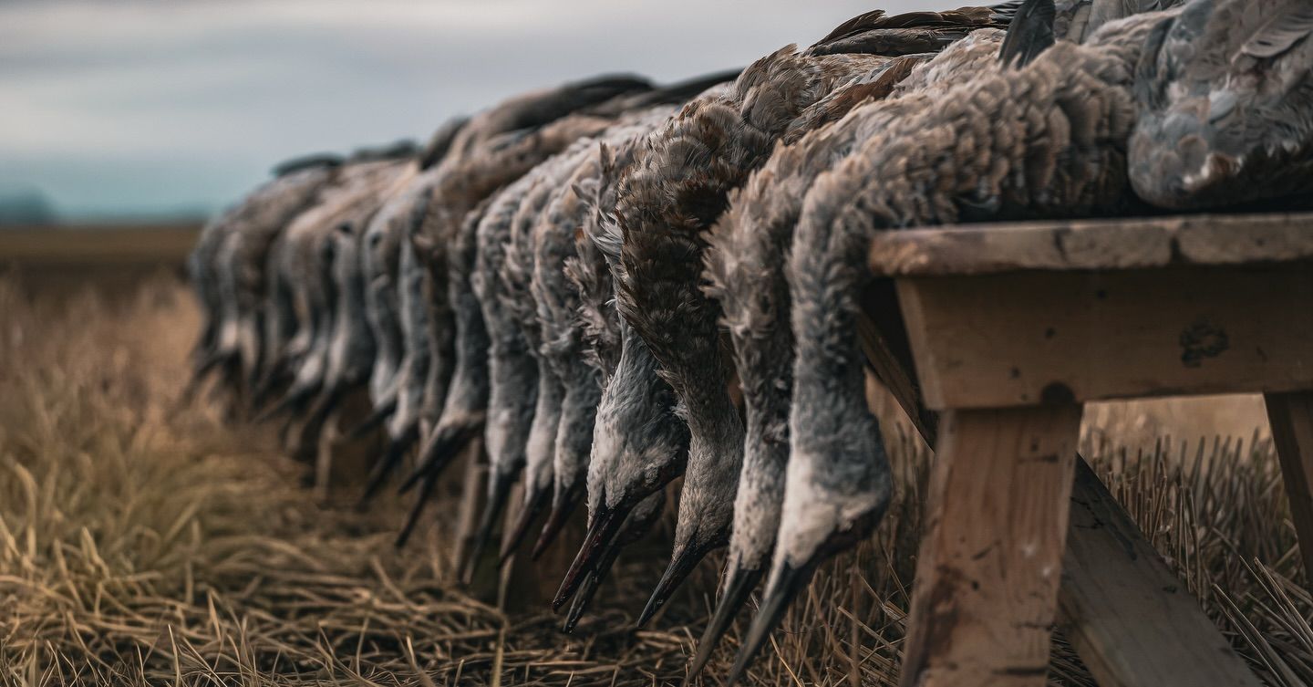 Row of fur-lined boots drying upside down on a wooden bench in a grassy field