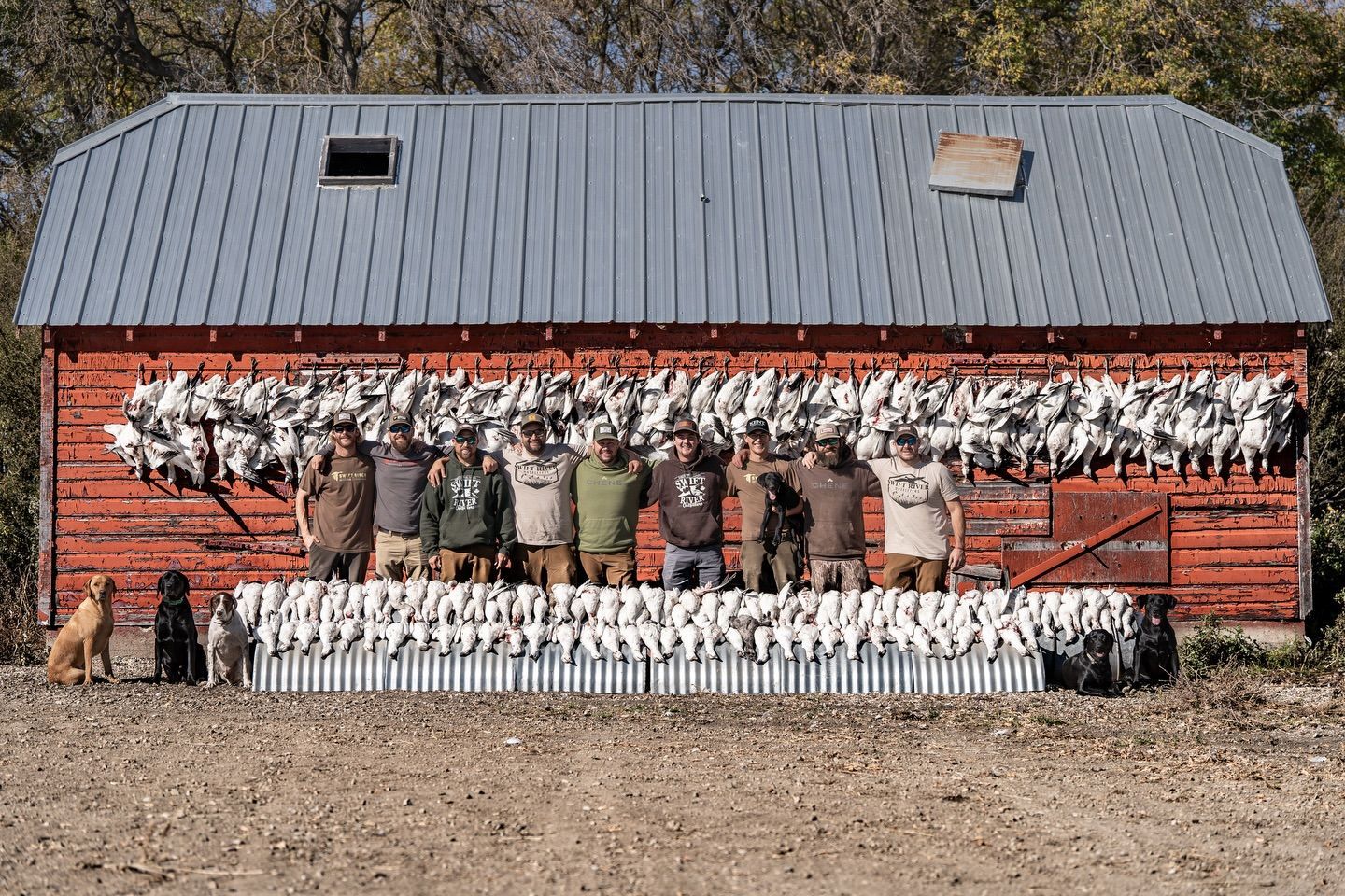 Rows of white chickens and a few people posed in front of a red barn with a gray roof