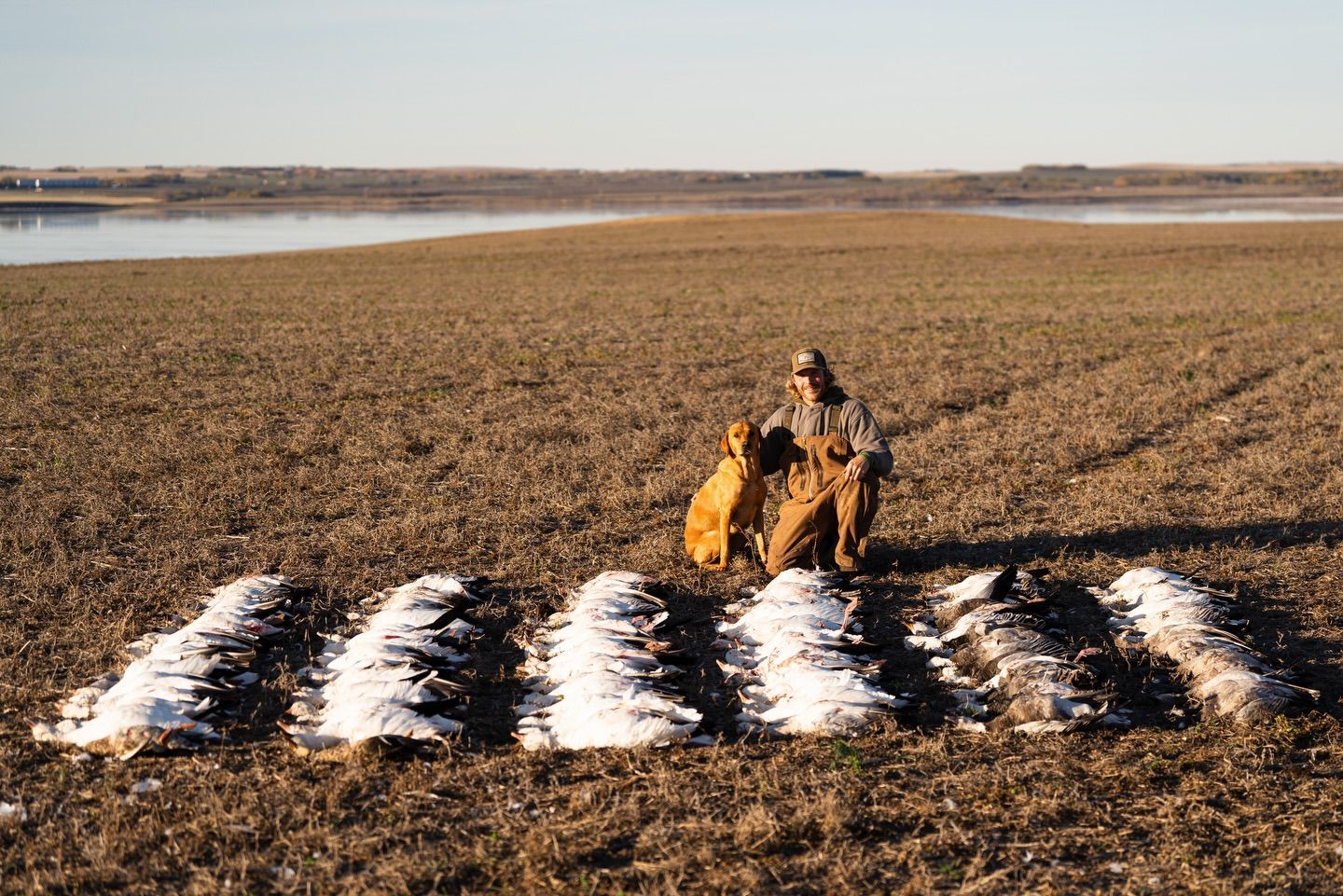 Person kneeling in a snowy field beside a row of white markers near water under a clear sky