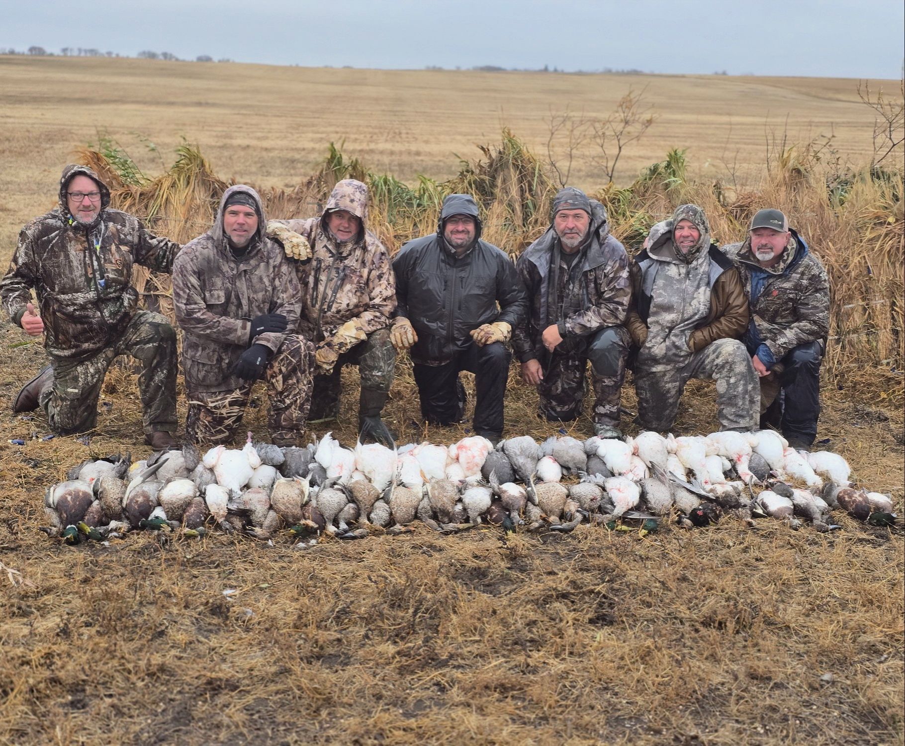 Hunters kneeling in a field behind a large row of harvested ducks under an overcast sky