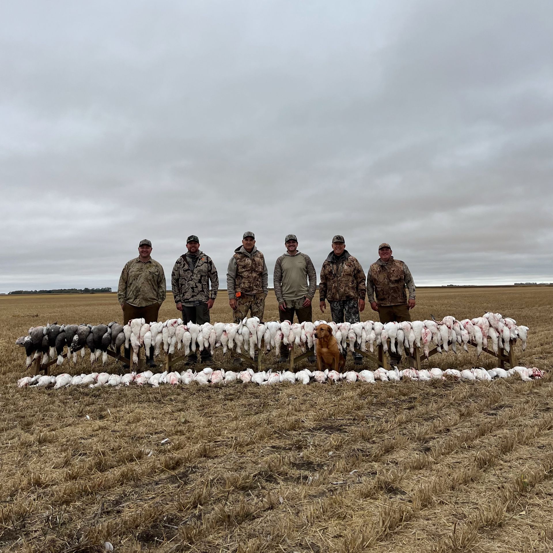 hunt birds in Canada with a guide