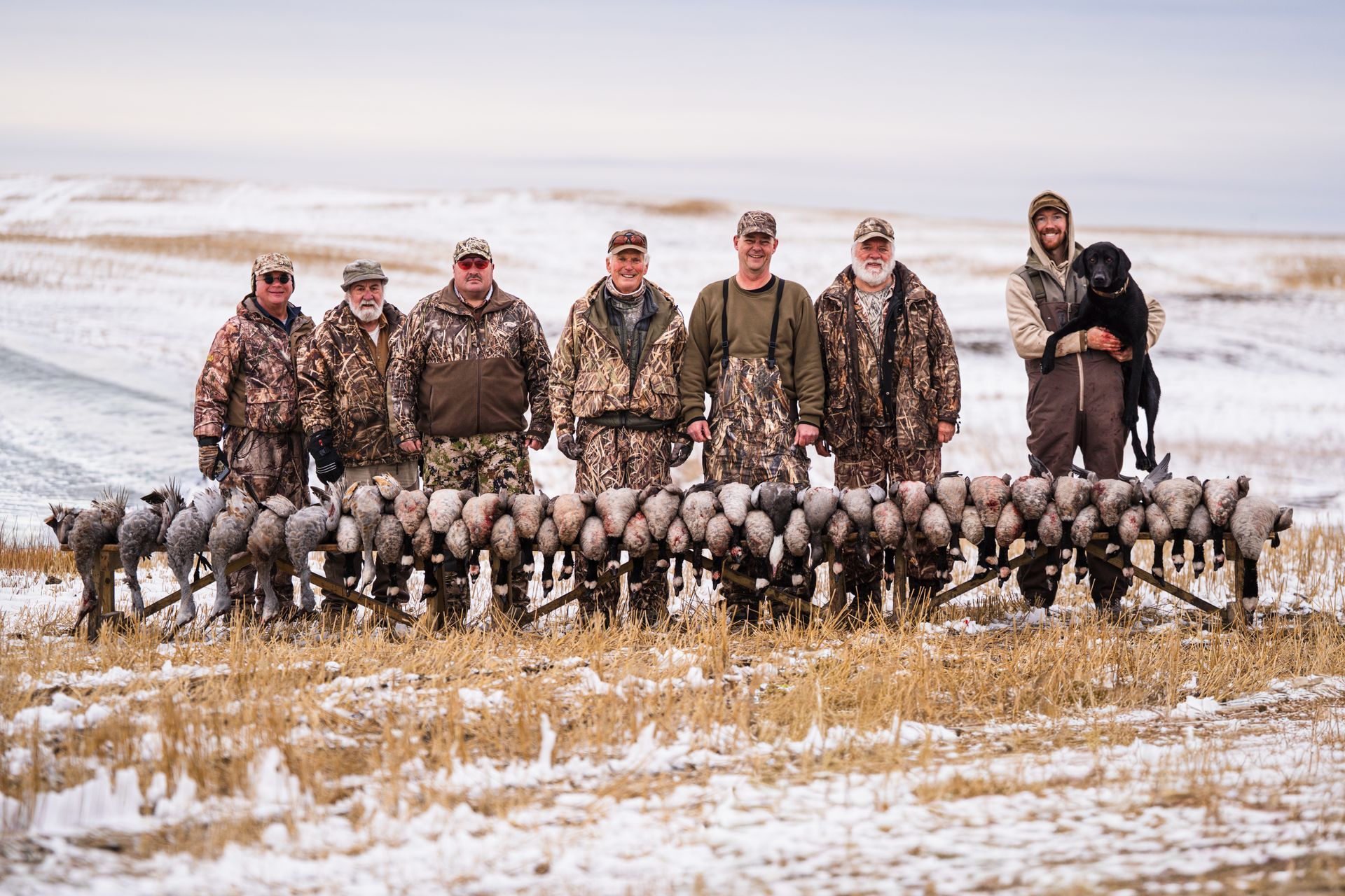 ducks in Saskatchewan Canada to hunt
