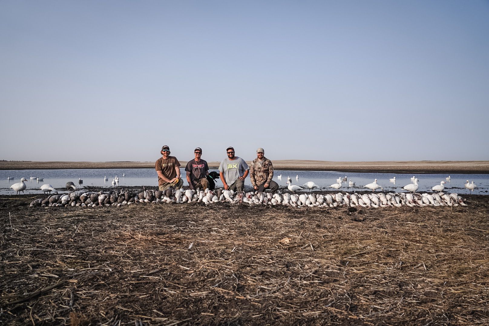 Four people kneel among many birds on a rocky shoreline under a clear sky