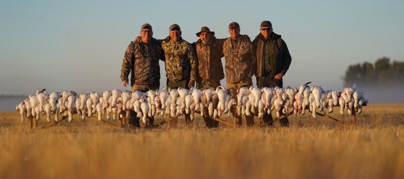 Hunters standing behind a large flock of white birds in a grassy field at sunrise