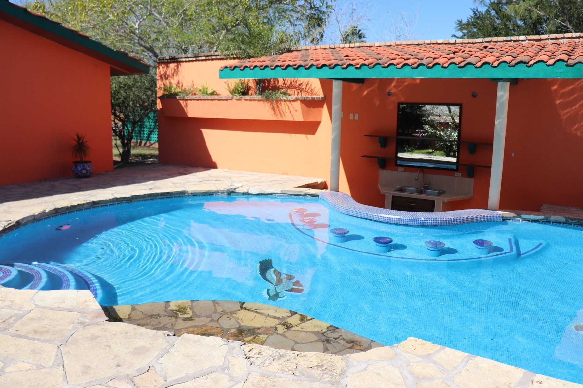 Hunting Quail in Mexico