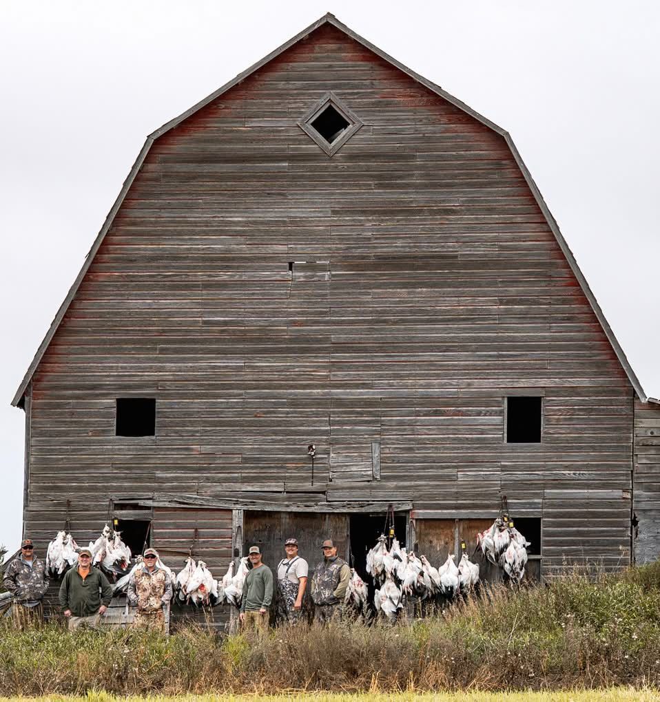 People gathered outside a large weathered barn, many holding white flags or cloths.