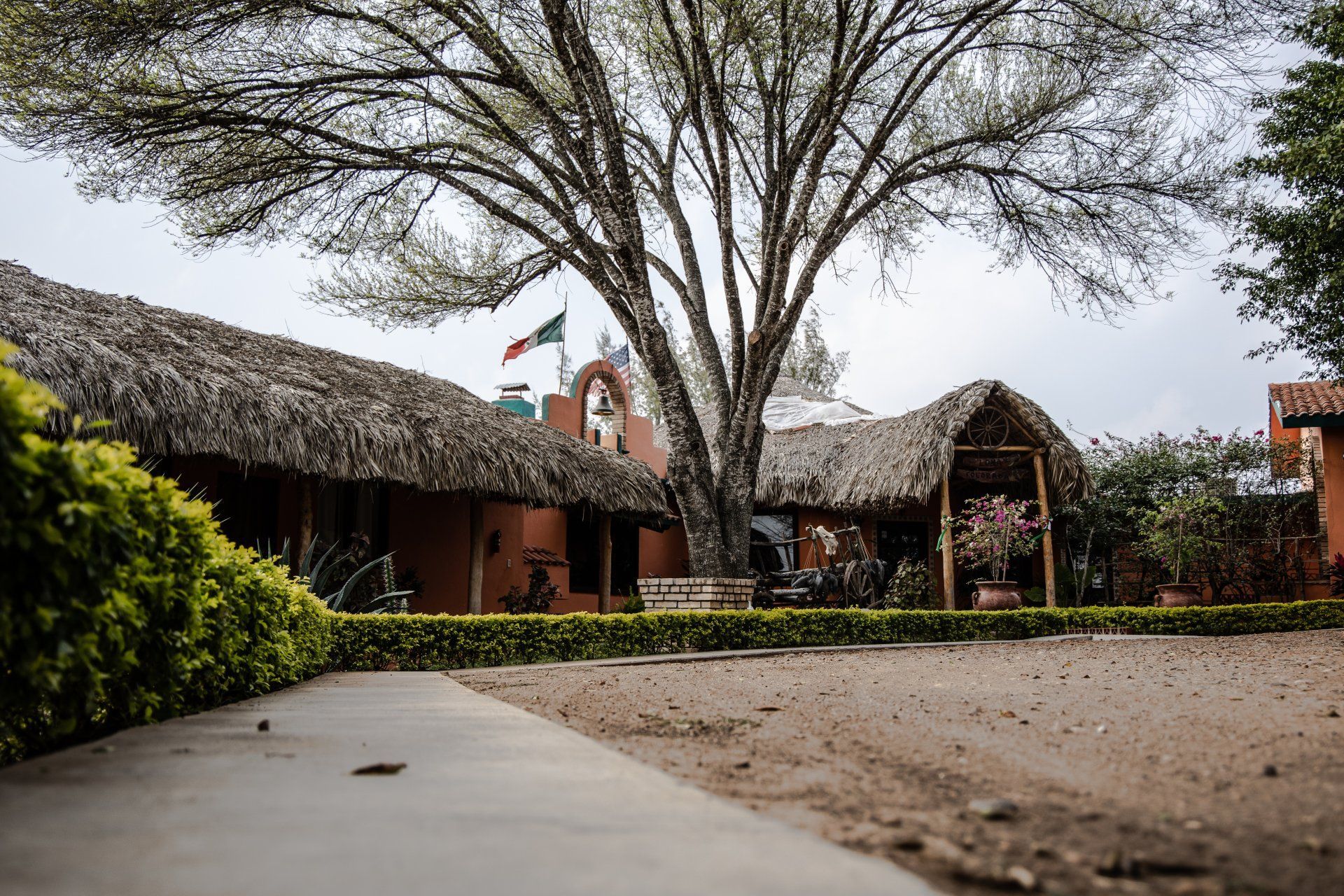 quail hunting outfitter in Mexico