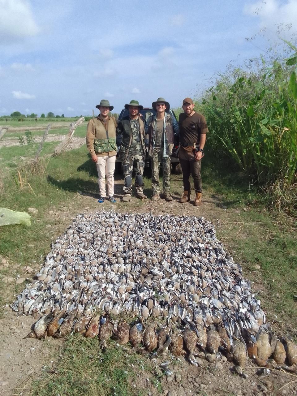 duck hunting in Mexico