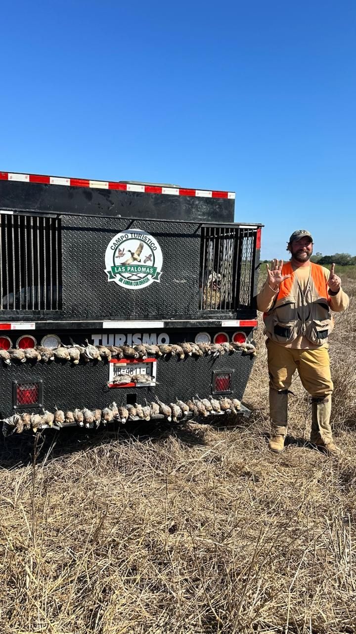 Worker in orange vest standing beside a black livestock trailer in a dry field under a blue sky