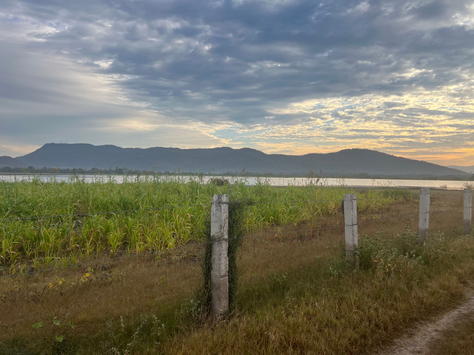 Wetland at sunrise with mountains in the distance, grassy field, and fence posts along a dirt path