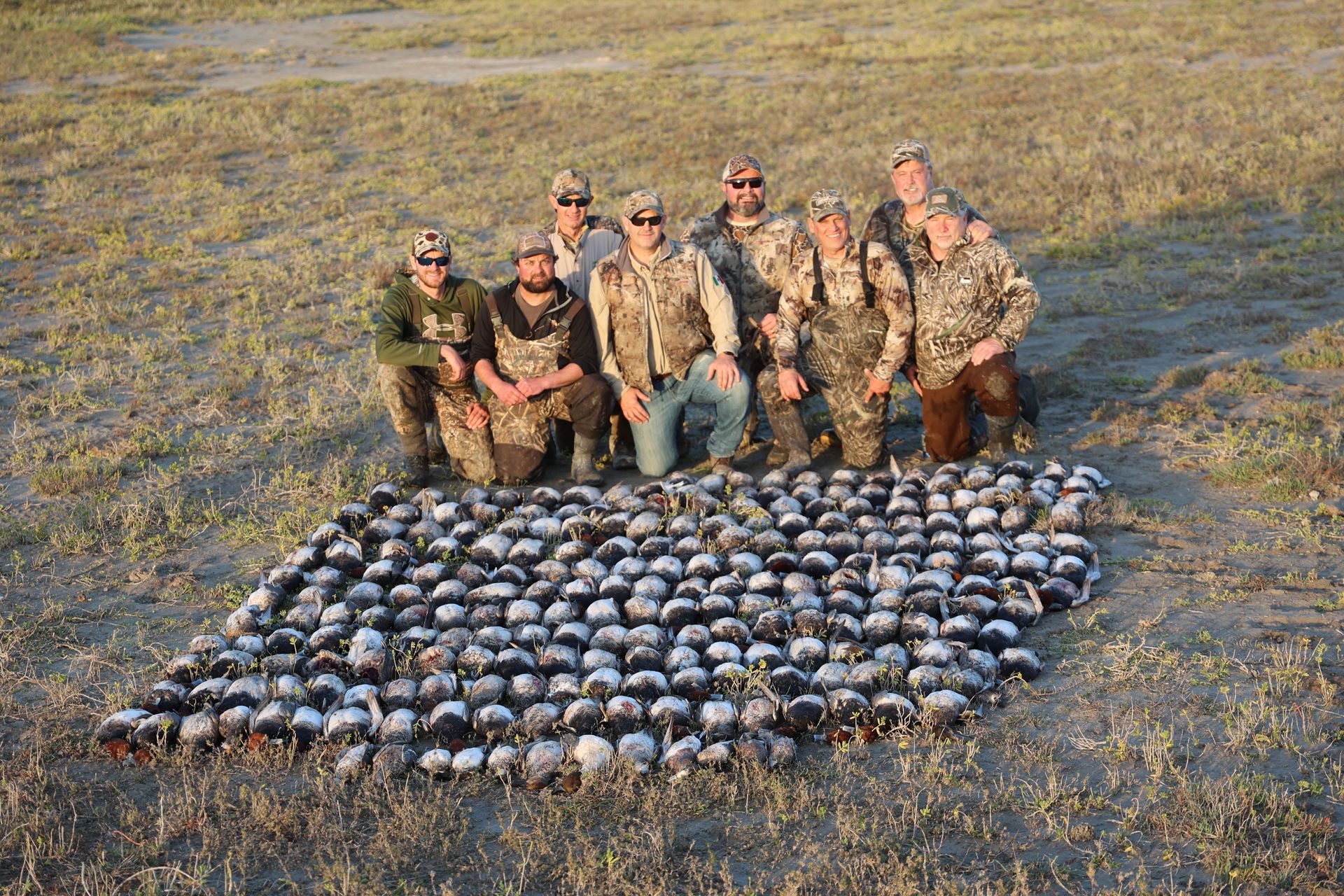 Six hunters kneel behind a large pile of harvested birds in a grassy field.