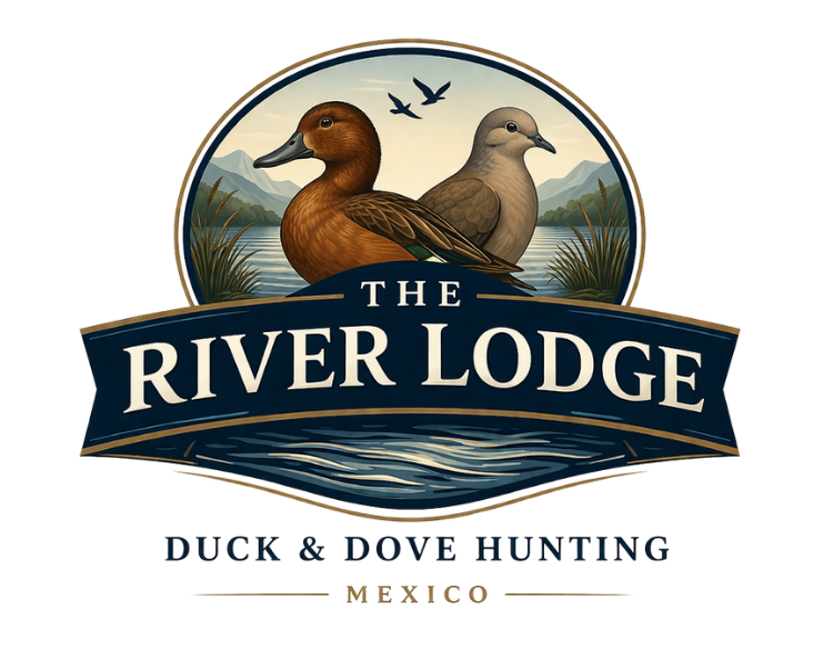 dove hunting in Mexico outfitter