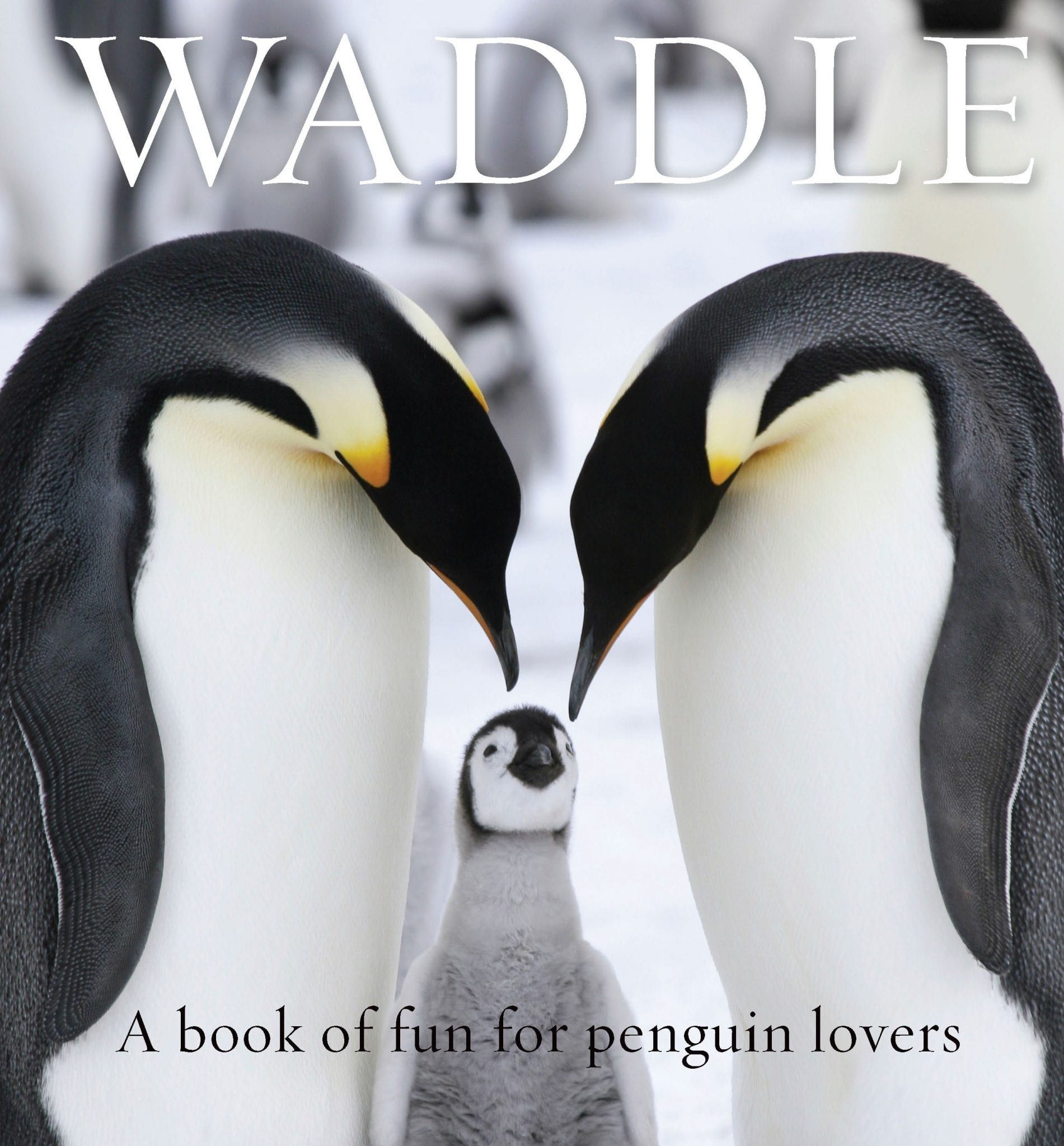 a book of fun for penguin lovers called waddle