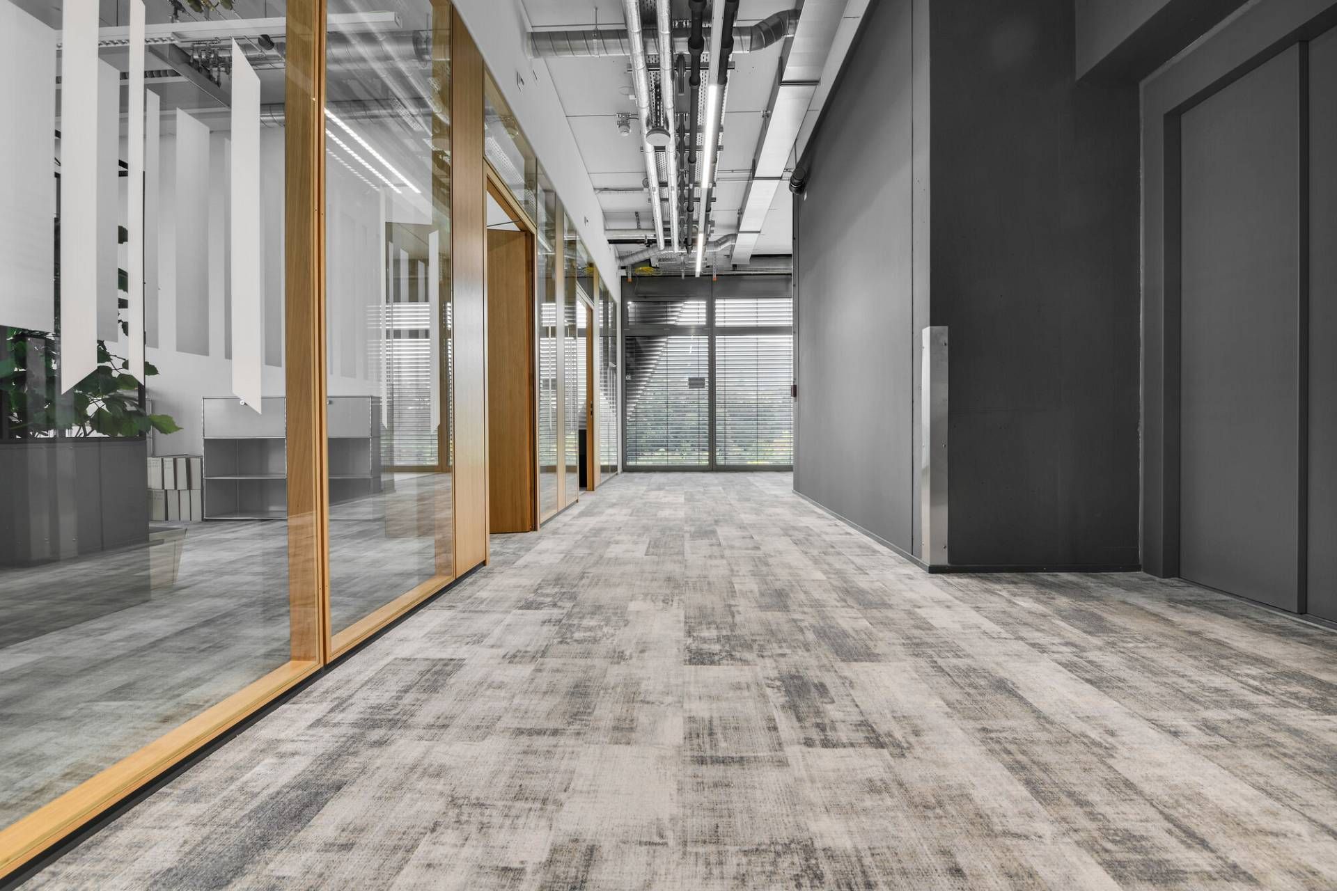 Un long couloir dans un immeuble de bureaux avec un sol recouvert de moquette et des murs en verre.
