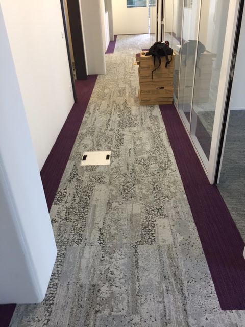 Un couloir en moquette avec une bande violette sur le sol