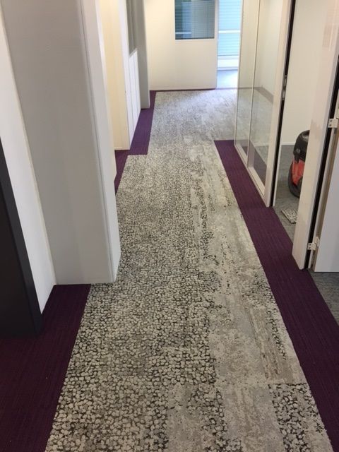 Un couloir en moquette avec une bande violette sur le sol