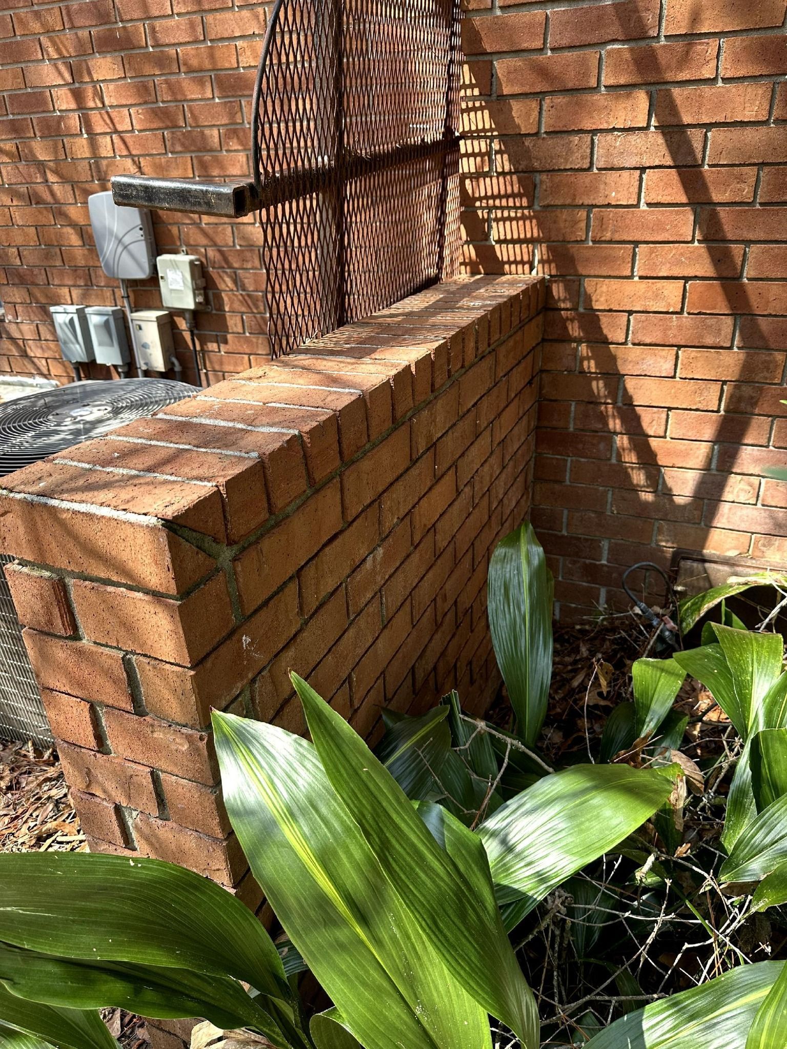 A brick wall with a plant in front of it.