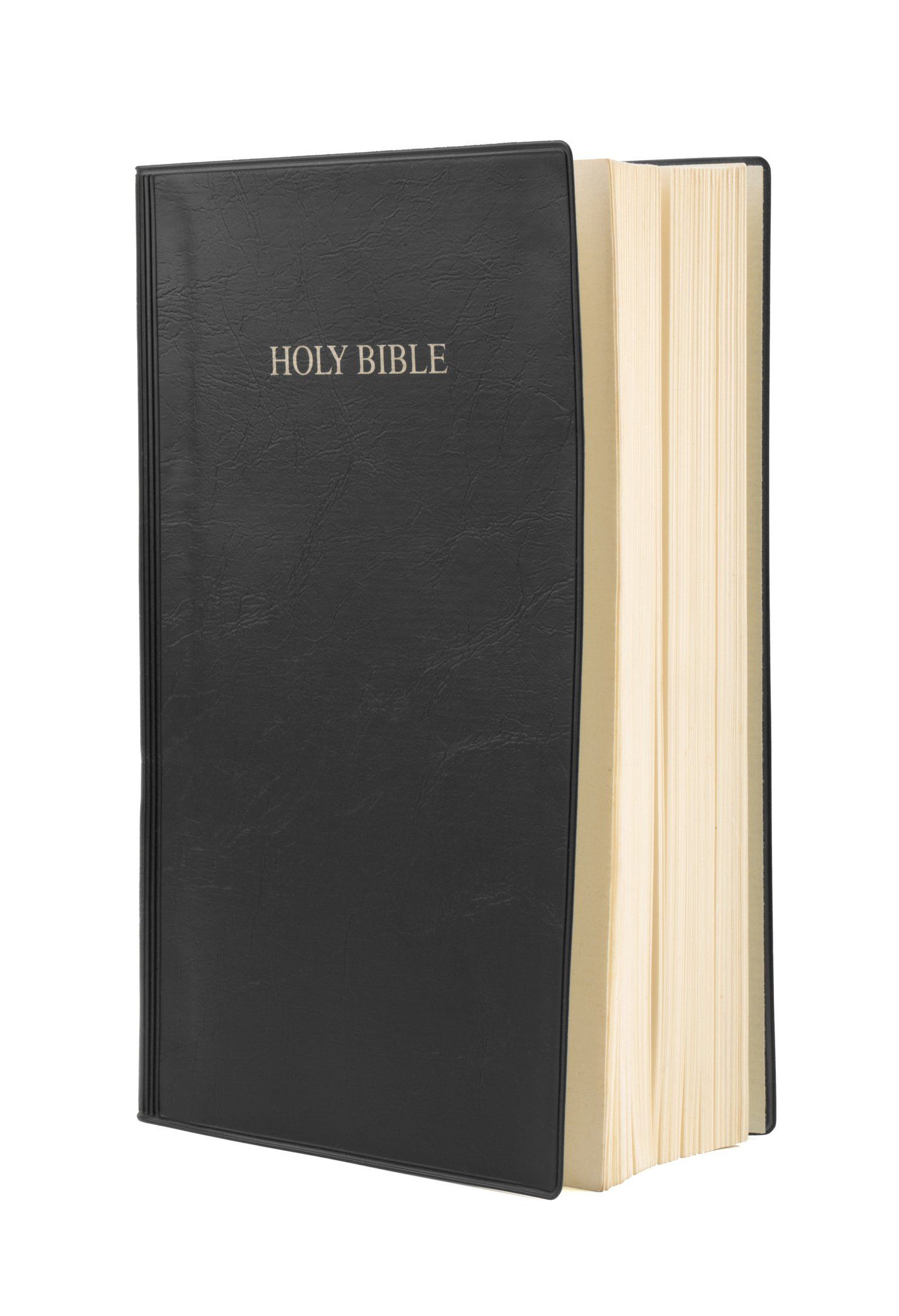 Holy Bible — Warren, MI — Discount Bible Book & Music Store Holy Bible — Warren, MI — Discount Bible Book & Music Store