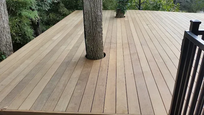 Wooden deck built around a tree trunk, black railing on the right, surrounded by greenery.
