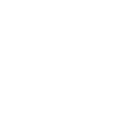 Empty white background.