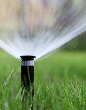 Green Hills Irrigation | Irrigation System Design
