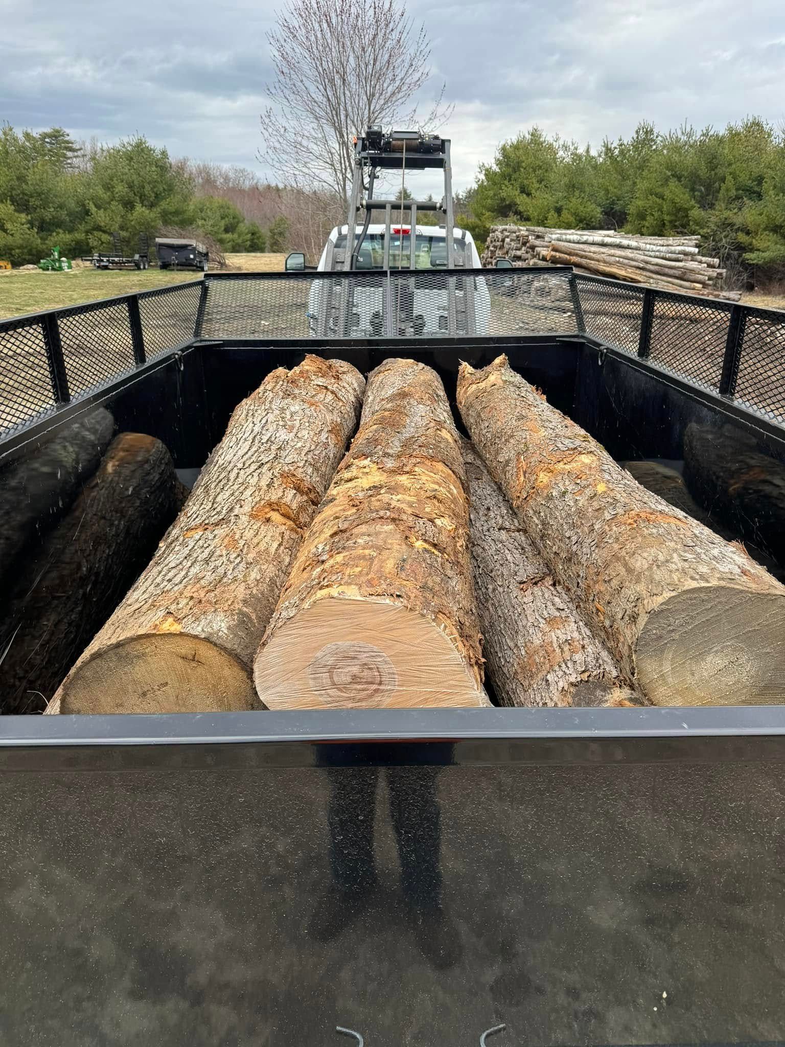 A truck is loaded with logs in the back of it.