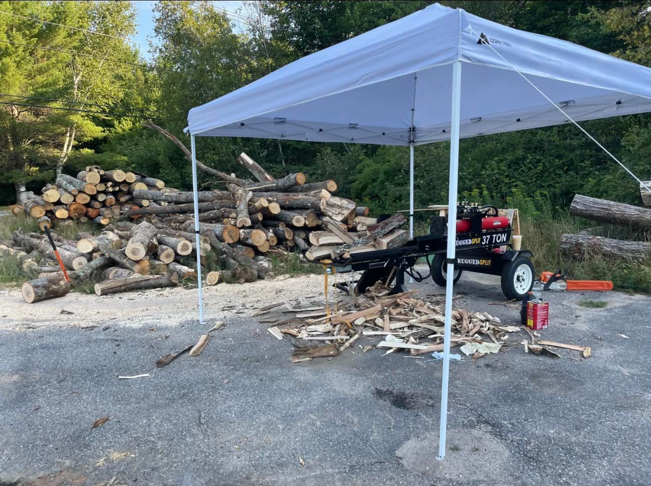 A white canopy is sitting in front of a pile of logs.