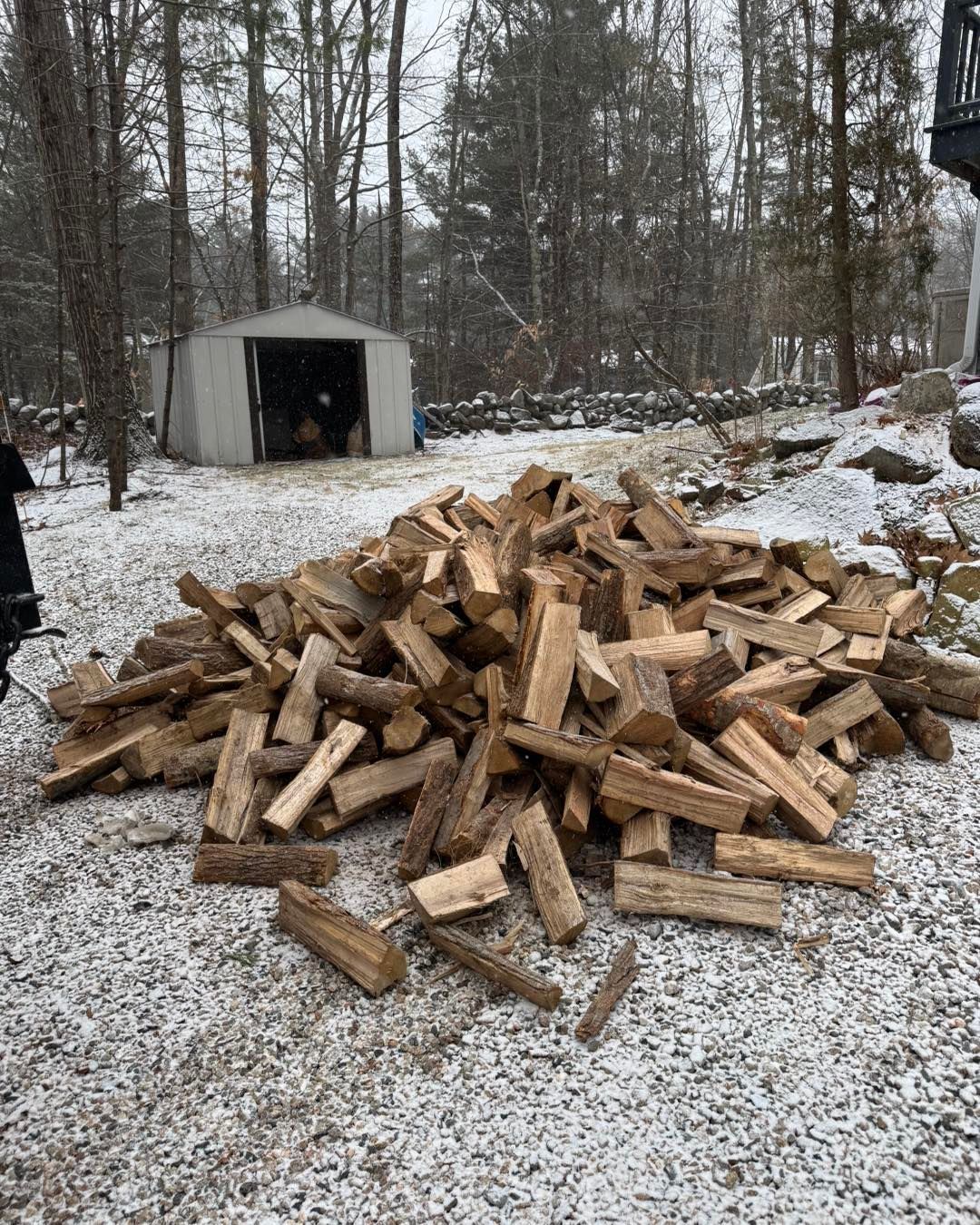 A pile of wood is sitting in the snow in front of a shed.