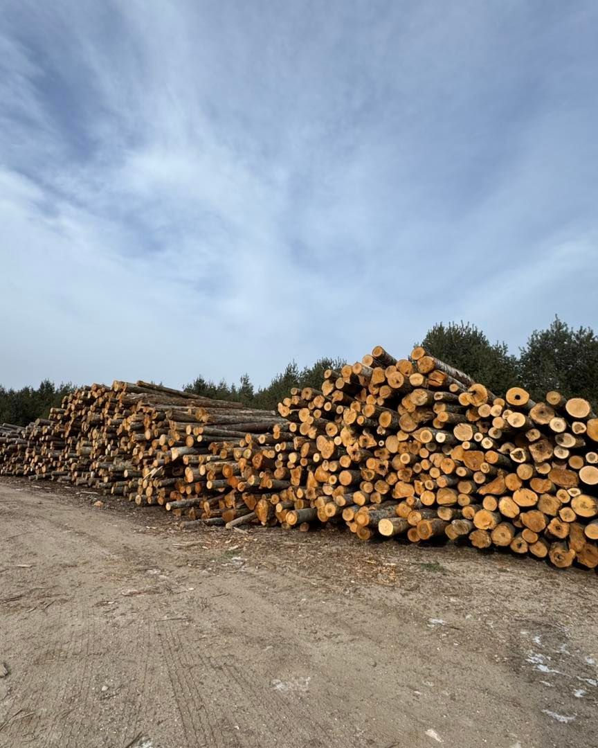 A pile of logs sitting on top of a dirt road.