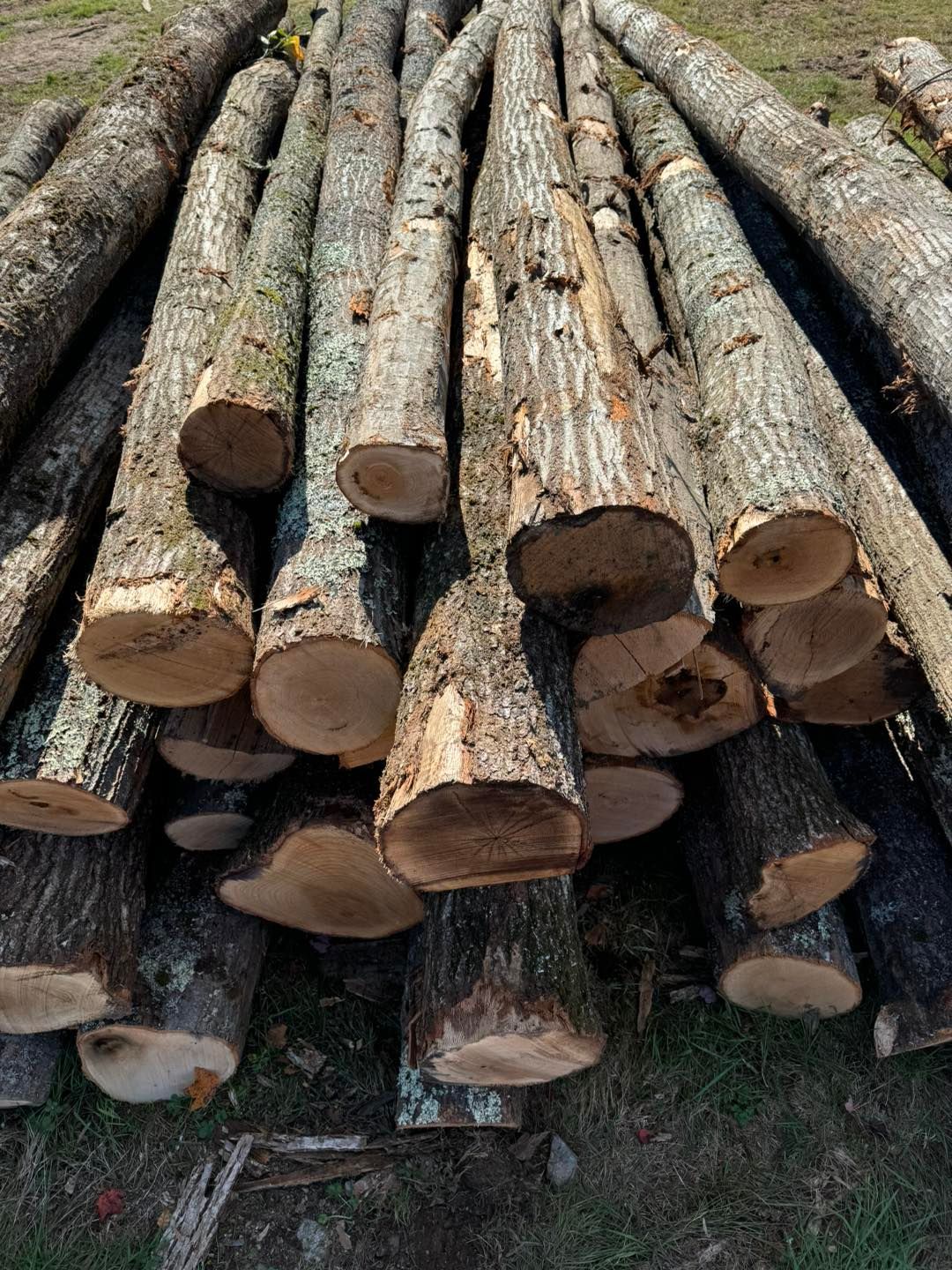 A pile of logs sitting on top of each other on the ground.
