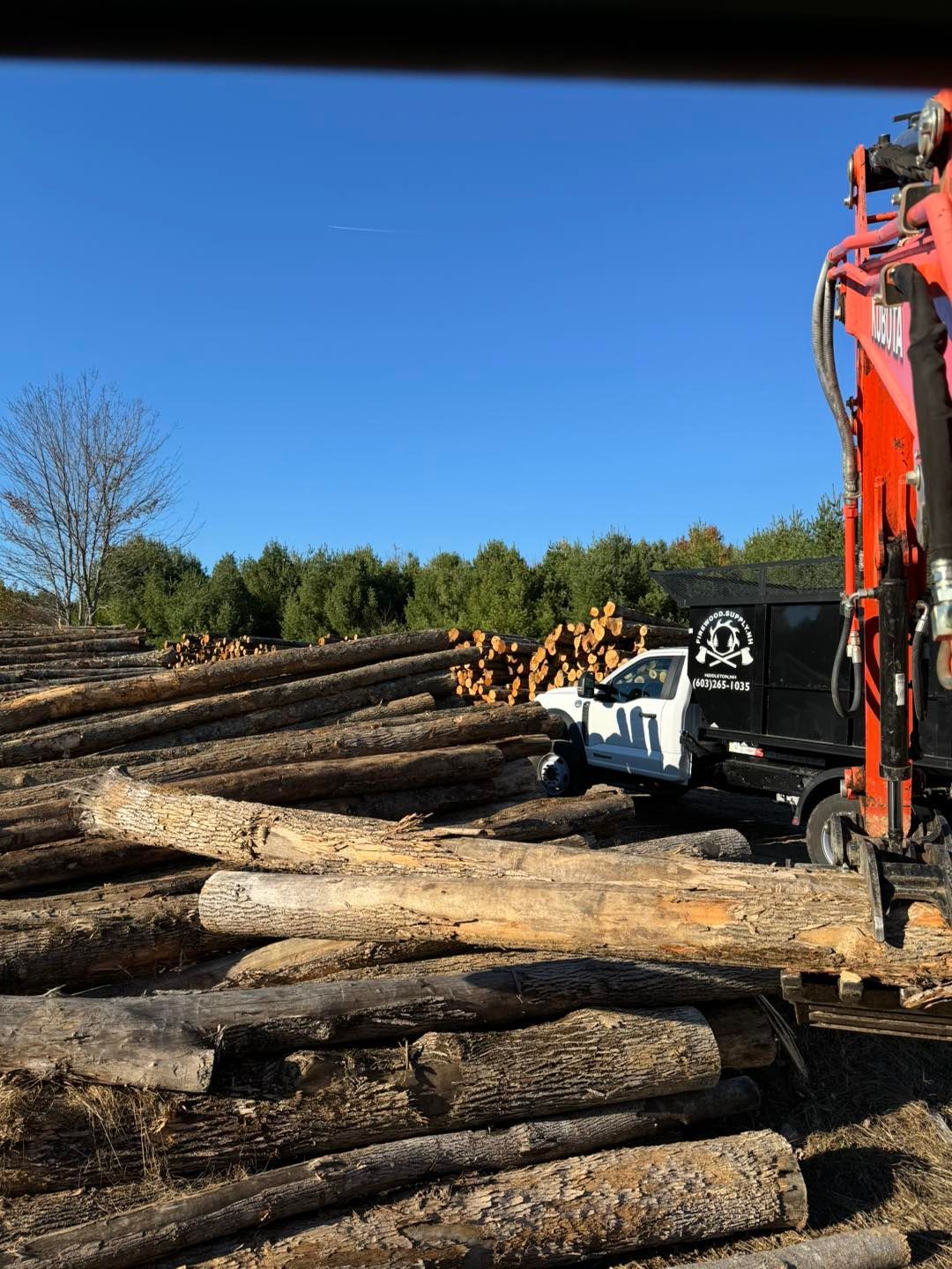A large pile of logs with a truck in the background