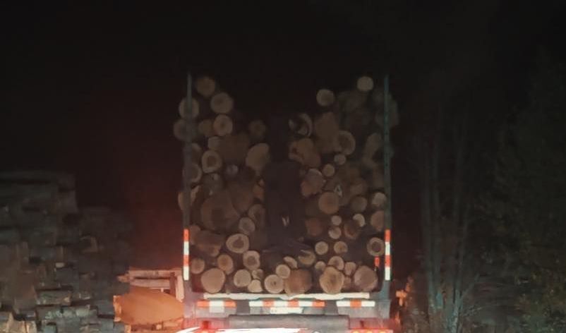 A truck is carrying logs on the back of it at night.