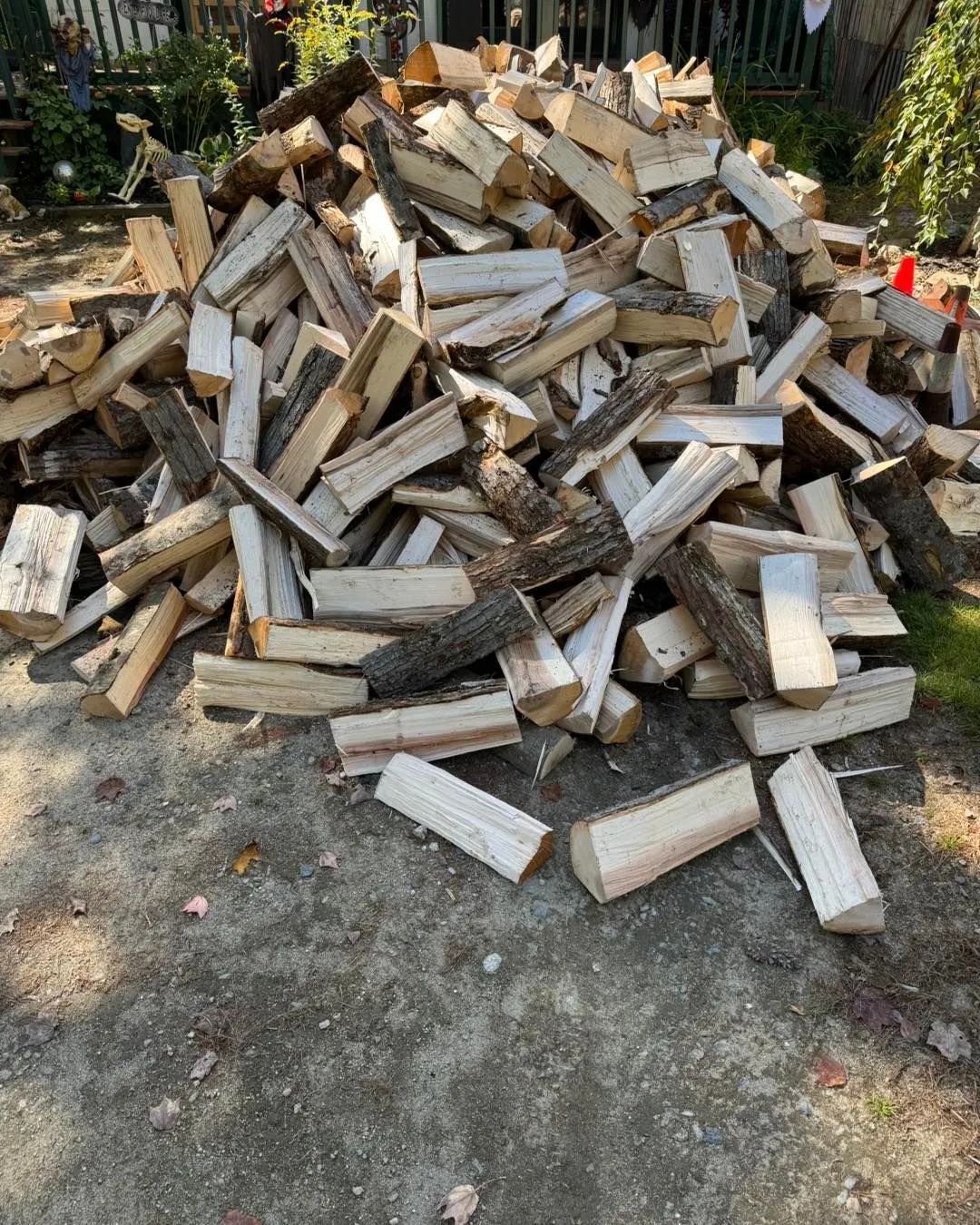 Pile of split firewood on a dirt surface outdoors, with a fence and greenery in the background.