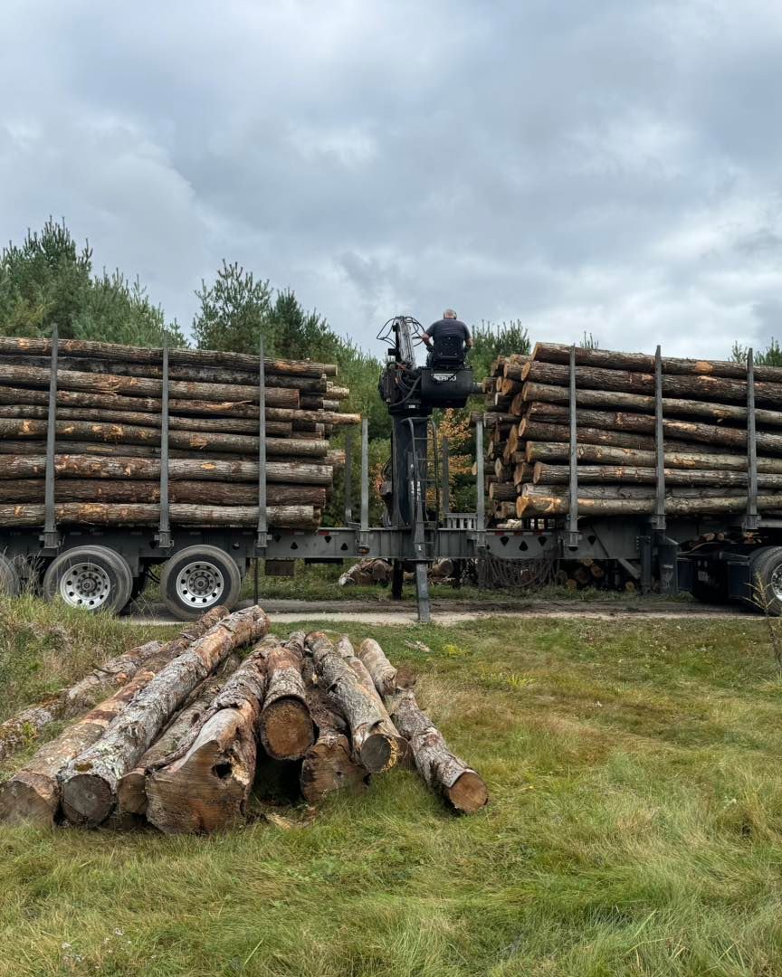 A truck filled with logs is parked in a grassy field.