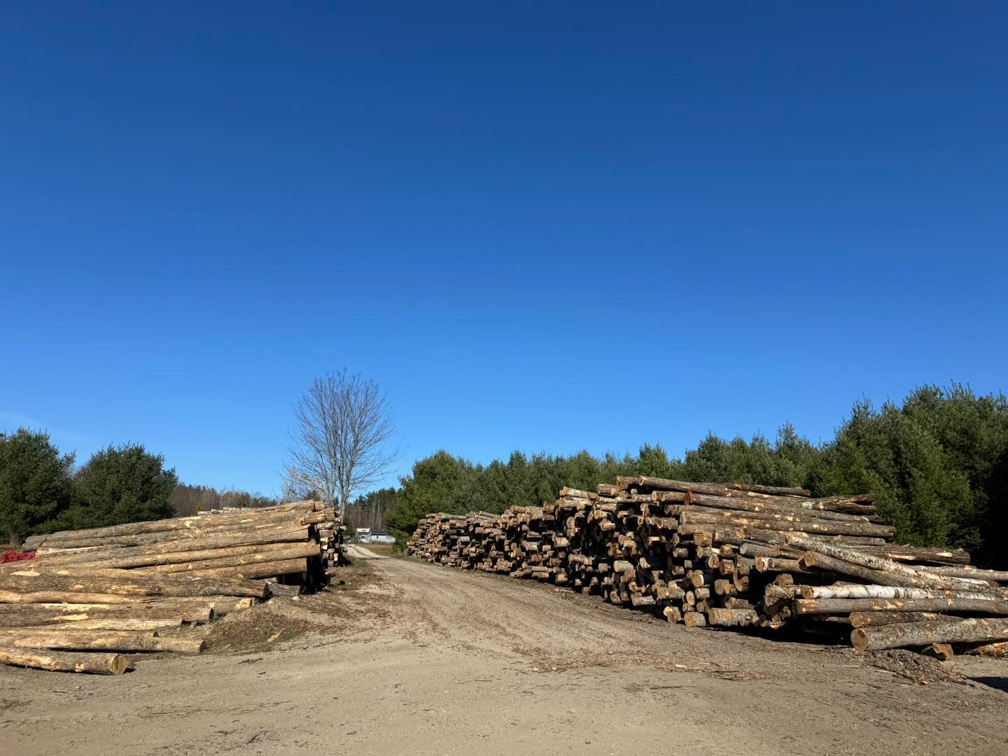 A pile of logs sitting on top of a dirt road.
