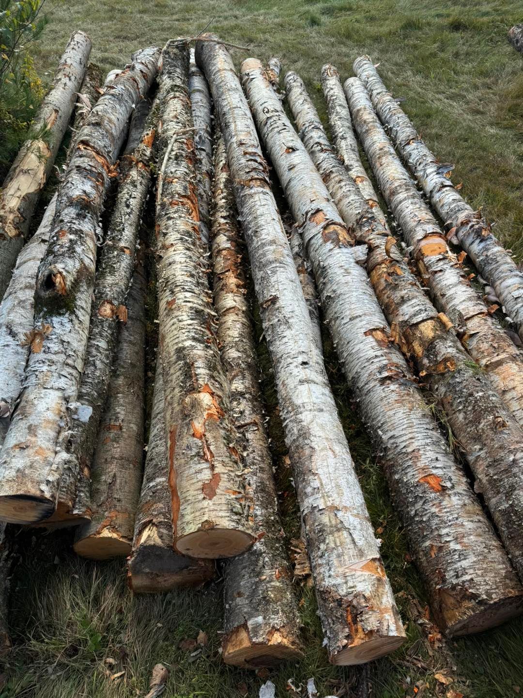 A pile of logs sitting on top of each other on a grassy field.