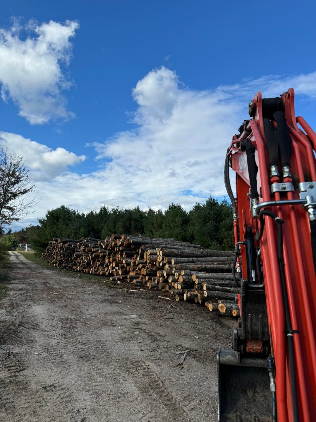 A red excavator is standing next to a pile of logs on a dirt road.